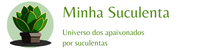 Logo Blog Minha Suculenta